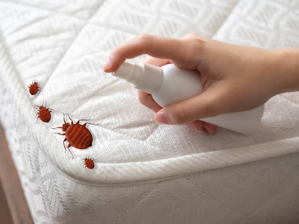 Best Pest Control for Homes  in Loogootee, IN