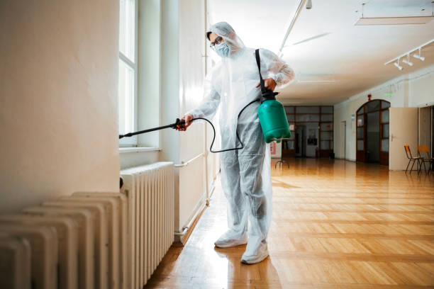 Best Affordable Pest Control Services  in Loogootee, IN